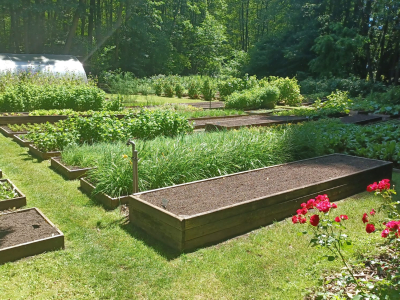 Kräutergarten